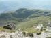 Ptarmigan from Ben Lomond