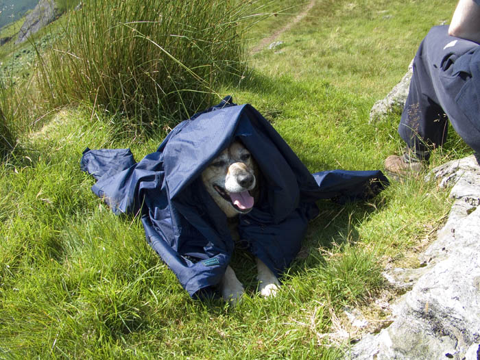 Nehemiah on Ben Vane