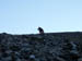 Ben Vorlich