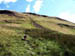 Dumgoyne