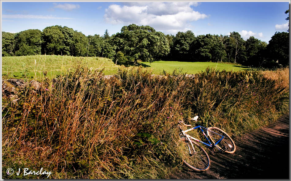 Country Lane Houston Renfrewshire