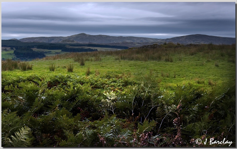 Misty Law from Knapps Kilmacolm