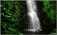 Gledentan Falls