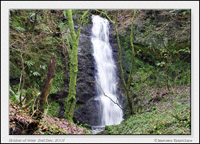 Falls at Bridge of Weir