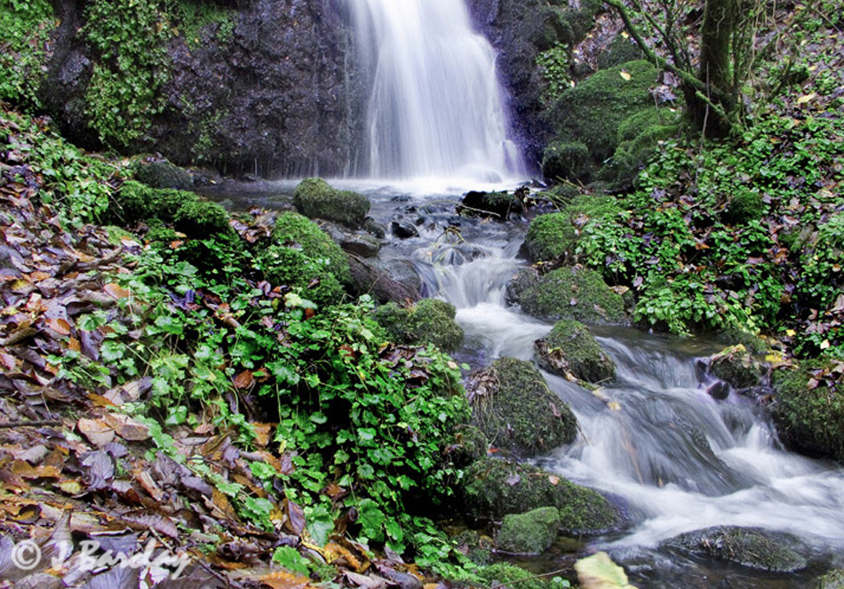 Falls at Bridge of Weir