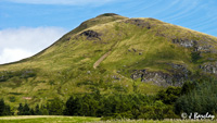 Dumgoyne Hill