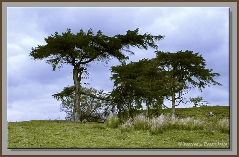 Muirshiel Country Park