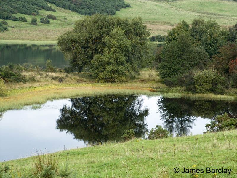 Knapps Loch