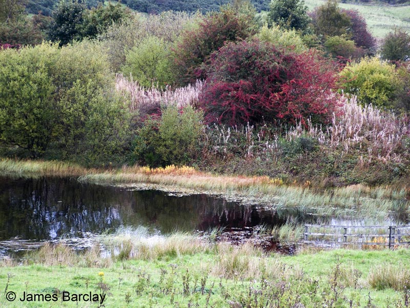 Knapps Loch