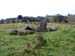 Standing Stones