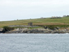 Stroma