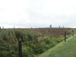 Ring of Brodgar
