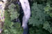 Corrieshalloch Gorge 165 KB