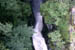 Corrieshalloch Gorge 165 KB