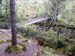 Corrieshalloch Gorge and the Falls of Measach (12)