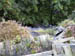 Corrieshalloch Gorge and the Falls of Measach (3)